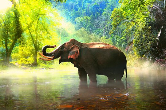 Tour image 6